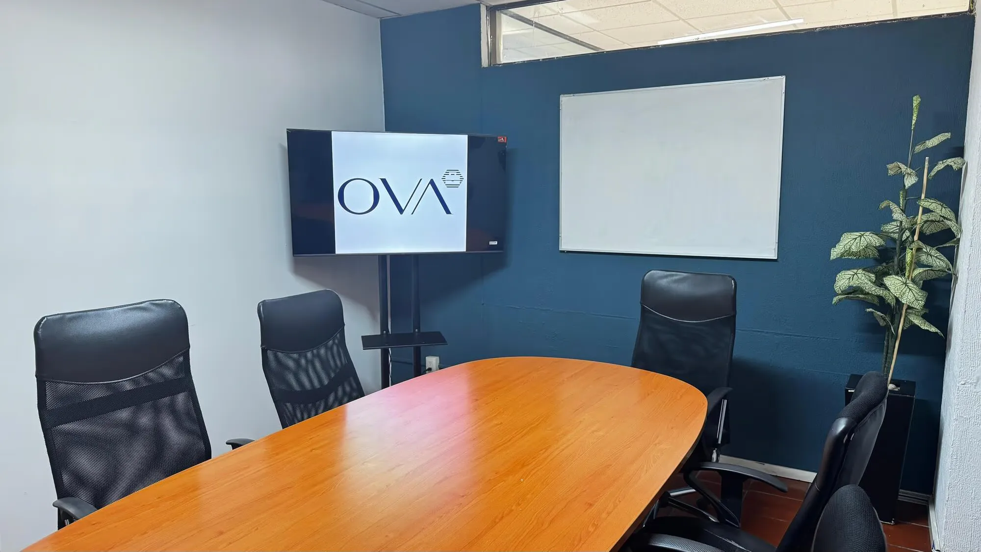 Oficina virtual en Centro de Querétaro
